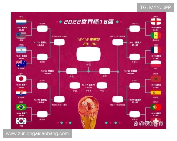 世界杯法国vs塞内加尔比赛门票购买攻略及购票成功经验分享